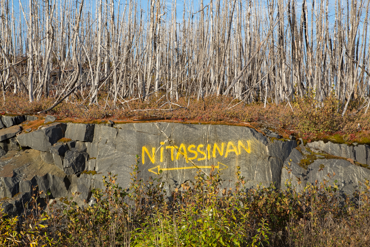 0966 — Minganie, 2021. Baie-Johan-Beetz, 8 ans après le feu de forêt de 2013