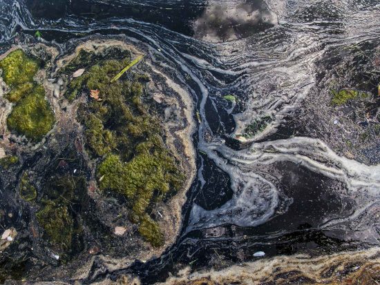 7063 — Parc Lafontaine, Montréal, 2011 7063 — Parc Lafontaine, Montréal, 2011